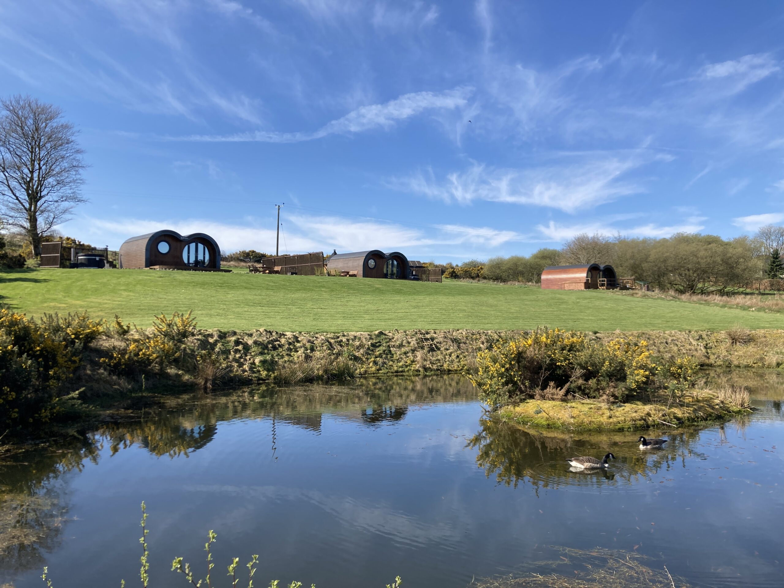 Let's Glamp Retro site in West Wales countryside